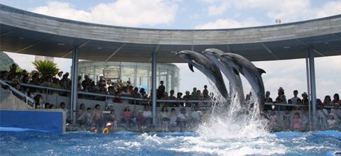 大分MARINEPALACE水族馆「海卵」